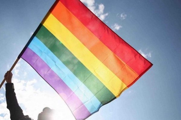 Relevamiento: un 6% de la población LGBTIQ+ sufrió agresiones en el NEA