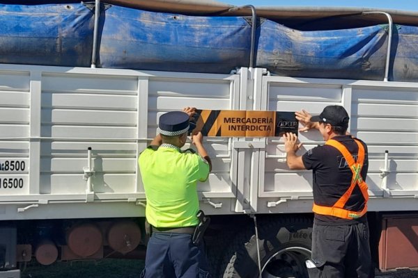 Corrientes: incautan 210 toneladas de soja en Paso de los Libres