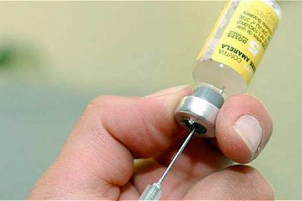 Para viajantes: insisten con las vacunaciones contra fiebre amarilla