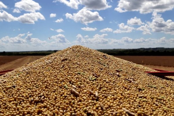 Con aporte de Corrientes, la producción de granos creció en 50 millones de toneladas en los últimos 10 años