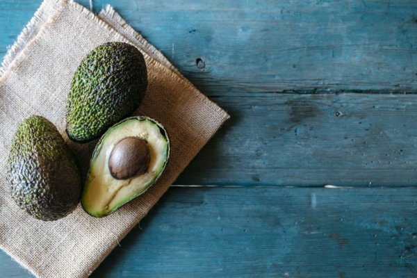 Pros y contras: qué efectos trae comer palta o aguacate todos los días