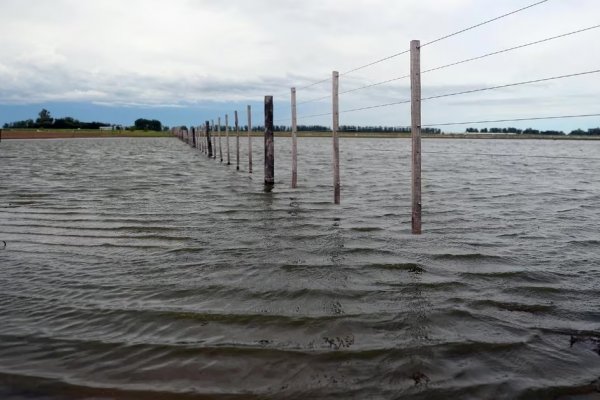 Adiós a la sequía: crece la superficie cubierta por agua en Corrientes