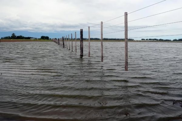 Misiones y Corrientes, los más afectados por El Niño