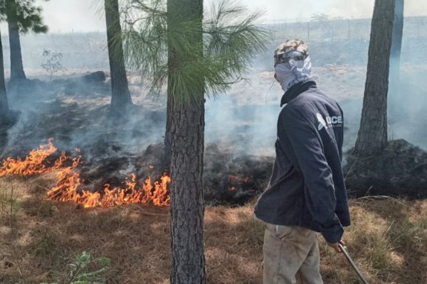 Corrientes: los incendios forestales siguen afectando a Goya
