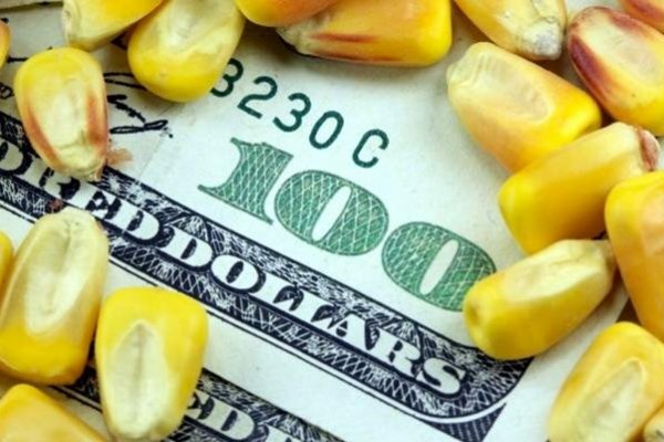 Economías regionales, maíz e Impuesto PAIS a importaciones: anuncian un nuevo dólar diferencial
