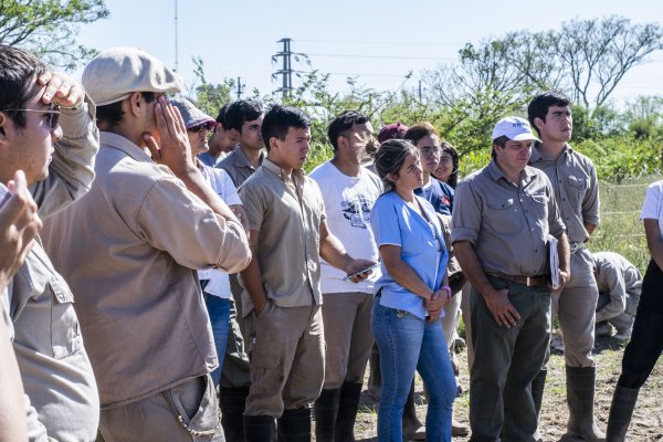 Lanzan pasantías de investigación para estudiantes secundarios de Corrientes y Chaco