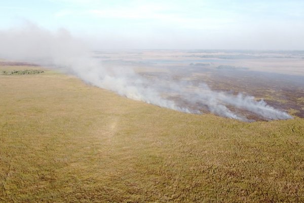 Incendios en Corrientes: piden acciones concretas al Estado provincial