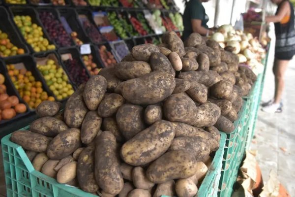 El kilo de papa superó los 600 pesos y la bolsa aumentó un 200 por ciento en Corrientes