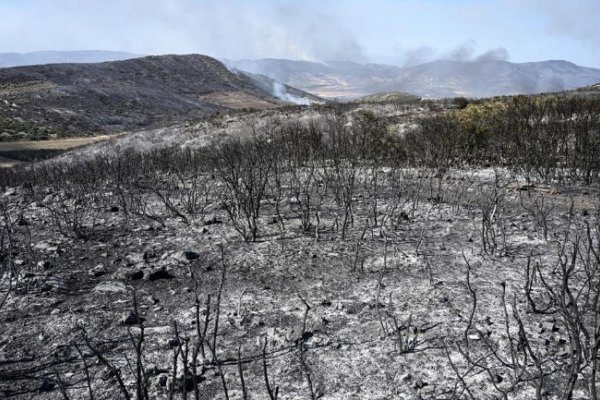 Sigue el intenso combate contra los incendios en Grecia