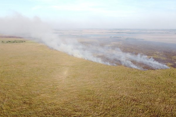 Se quemaron más de 1000 hectáreas en el Estero Santa Lucía