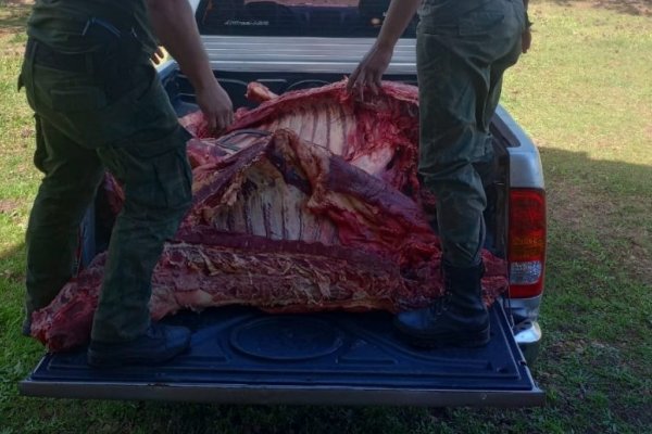 Corrientes: confiscaron casi 600 kilos de carne en mal estado en Santo Tomé