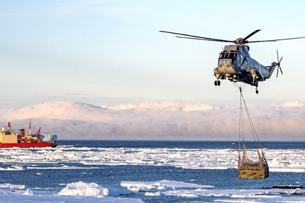 Antártida: se desprendió una enorme masa de hielo del tamaño de Argentina