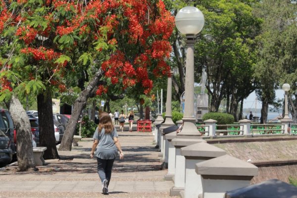 Mitad de semana y el calor se aproxima en Corrientes: hoy, máxima de 31ºC