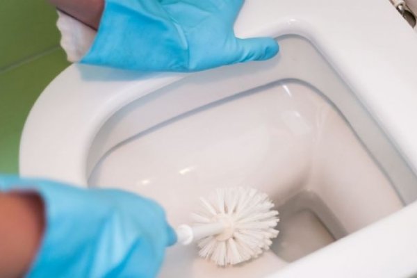 Baño: cada cuánto tiempo es recomendable limpiar el inodoro