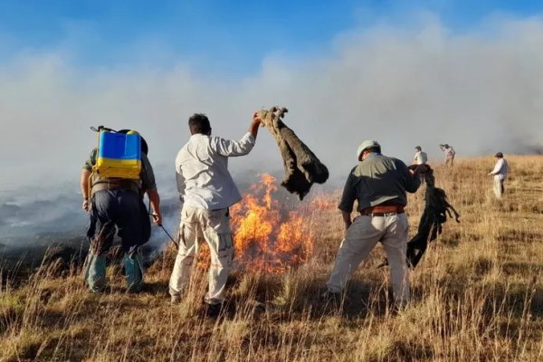 Riesgo de incendios: alerta amarilla en Corrientes por altas temperaturas