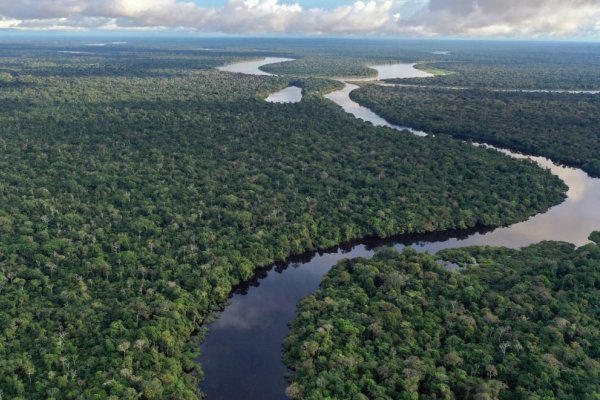Brasil: se registró la menor deforestación anual de los últimos 4 años en la Amazonía