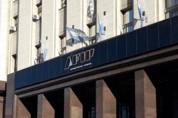 Afip determinó ajustes por más de $600 millones a contribuyentes con inconsistencias en sus declaraciones juradas