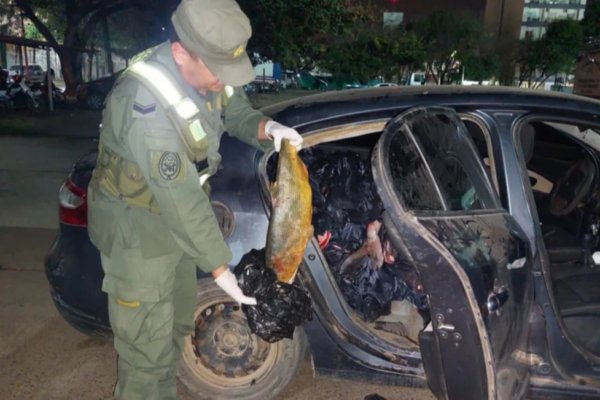 Confiscan más de 600 kilos de pescados no apto para consumo humano en Corrientes