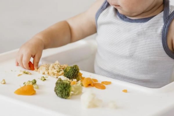 Papillas o baby led weaning: ventajas y desventajas