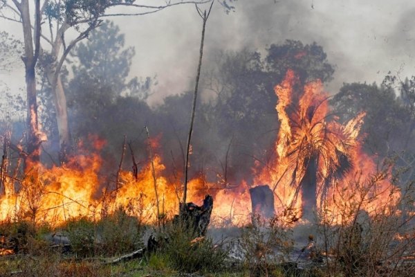 Se registraron nuevos focos de incendios forestales en Corrientes