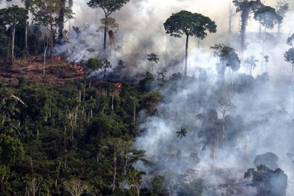 Cómo la Asamblea de la ONU sobre el medioambiente puede encaminarnos hacia un futuro sostenible