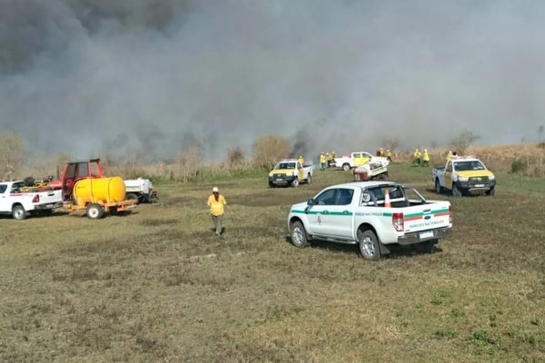 Incendio en Parque Nacional Mburucuyá: se quemaron 14 hectáreas