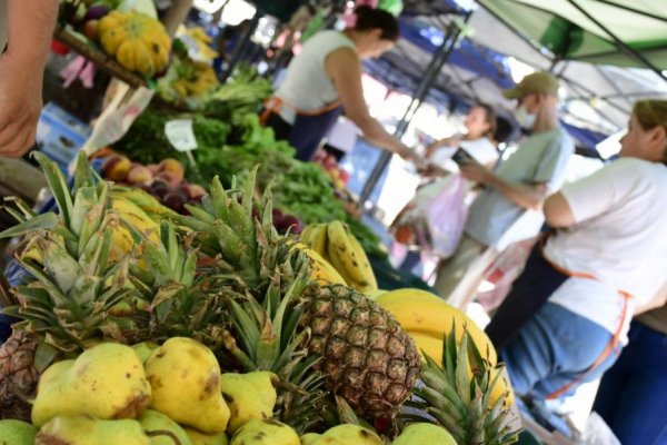 Ferias de la ciudad: hoy, en Plaza Torrent y Plazoleta Evita