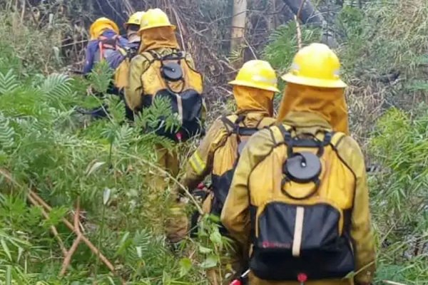 Incendios en Corrientes: buscan reducir el riesgo de fuego en el Iberá