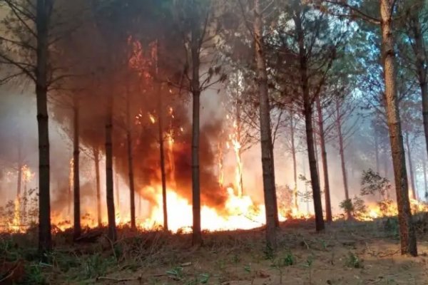 Corrientes es la única provincia que sigue con focos de incendios