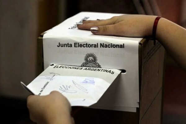 Elecciones: qué se vota en las PASO este domingo