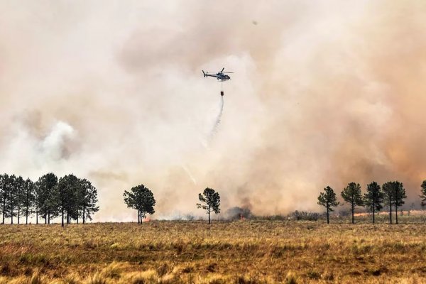 Incendios forestales: reportan cuatro focos 