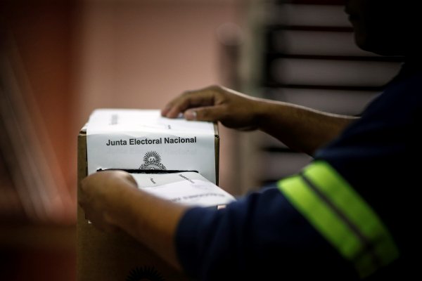 Elecciones 2023: fue a votar al cuarto oscuro en Corrientes y se encontró con una comadreja