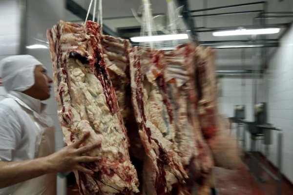 Negociación con frigoríficos: el Gobierno frenó la exportación de carne por 15 de días