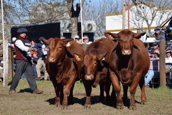 Corrientes: comienza la Rural de Riachuelo