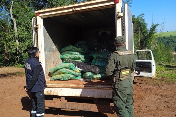 Trasladan tres toneladas de carne bovina sin cadena de frío