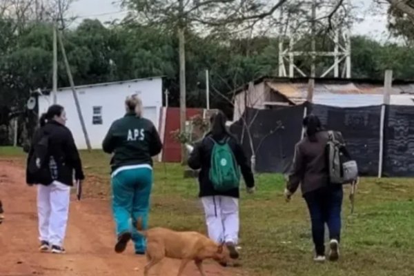 Corrientes: municipios cercanos a Brasil dictaron alerta por la fiebre amarilla