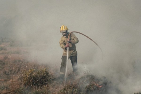 Incendios en Corrientes: aseguran que no hay riesgo de rebrotes de focos ígneos en la provincia