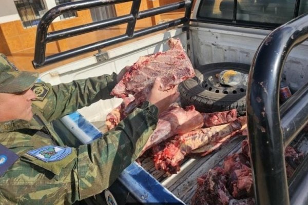 Corrientes: decomisan más de 80 kilos de carne no aptos para consumo humano en Saladas
