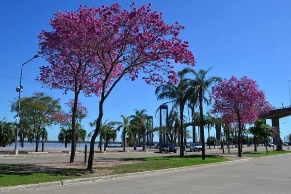 Clima: cómo estará el pronóstico para este domingo en Corrientes