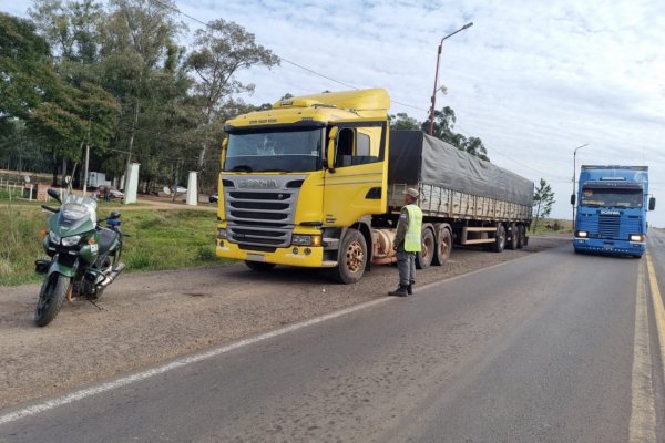 Secuestran en Corrientes y en Misiones 148 toneladas de granos como resultado de controles viales