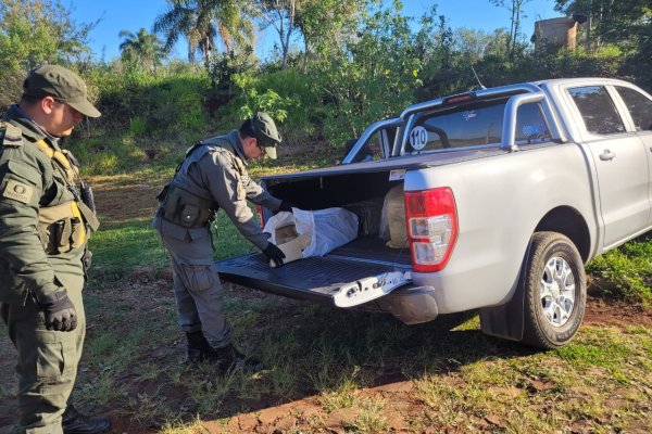 Intenta huir en su camioneta con 389 kilos de marihuana