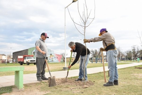 Corrientes: preparan múltiples actividades para la Semana del Árbol