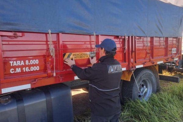 La AFIP evitó la venta ilegal de granos en dos localidades de Corrientes