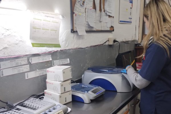 Corrientes: equipos e insumos de última generación para los servicios de hemoterapia