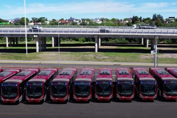 Compran 26 colectivos nuevos para el transporte en Corrientes