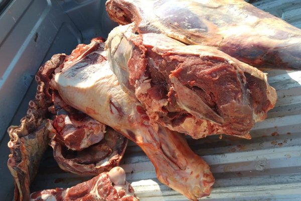 Control de carnicerías correntinas: secuestran más de 112 kilos de carne vacuna no apta para consumo humano