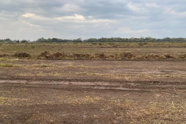 Corrientes: comienzan con la limpieza del predio de Mandiyú para su nuevo estadio