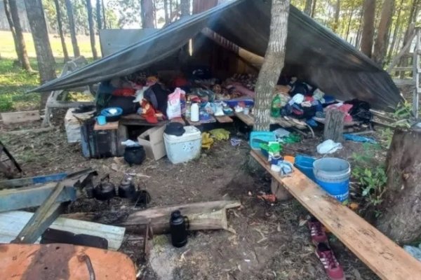 Rescatan a 40 trabajadores forestales explotados en un establecimiento de Corrientes