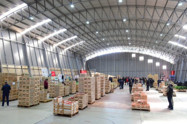 Corrientes: se realizó el Tercer Remate Provincial Frutihortícola