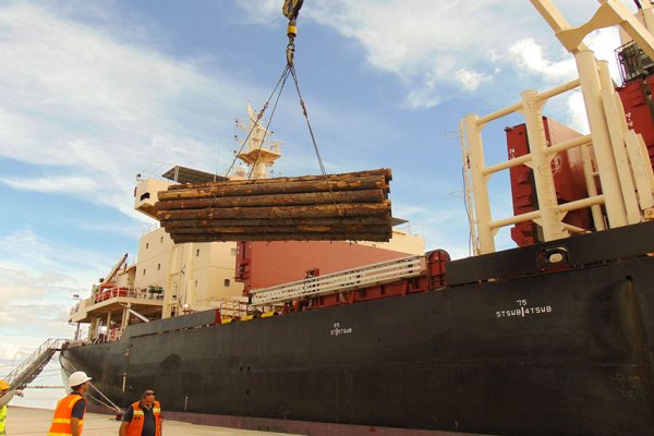 Exportaciones: Corrientes registró una caída interanual de casi el 8% en junio